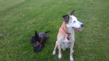Jessie and Kane
